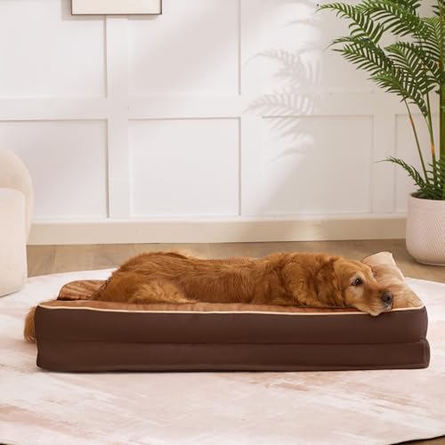 Orthopedic Dog Bed for Medium Size Dog (36.0"L x 27.0"W x 6.5"Th / Brown)
