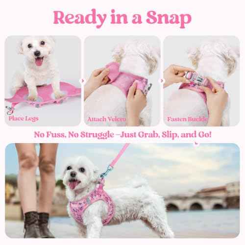 Dog Harness Small Sized and Leash Set (Pink Floral / S (chest: 15.1 - 16.5"))