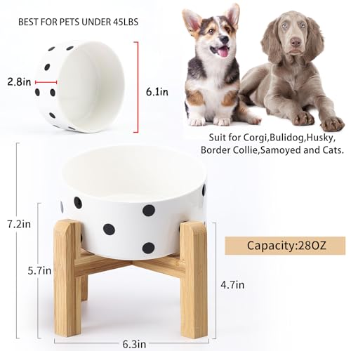 Elevated Raised 15°Slanted Ceramic Dog Bowl for Small and Medium Breeds (Black Dot / 3.6 CUPS - Medium Dog Bowls)