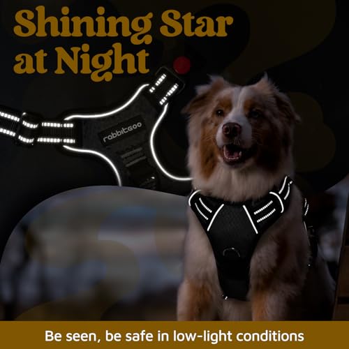 Dog Harness Medium Sized (Black / Medium)