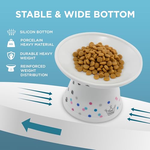 Necoichi Ceramic Raised Cat Food Bowl (Colorful Dots / Large Extra Wide)