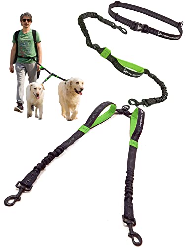Exquisite Hands Free Leash for Two Large Dogs. Premium Quality & Versatile Waist Leash for Dog Walking No Tangle. You Will Absolutely Love This Amazing 2 Dog Gear (Black & Green)