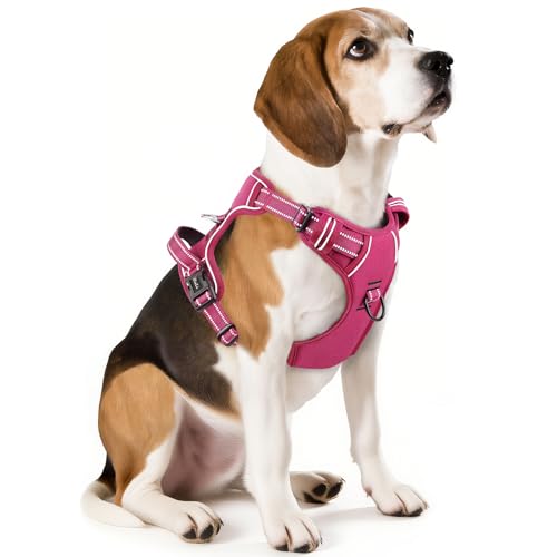 Dog Harness for Medium Dogs No Pull Dog Vest Harness with Soft Padded Handle Reflective for Outdoor Training (M / Rose(Matching Trim))