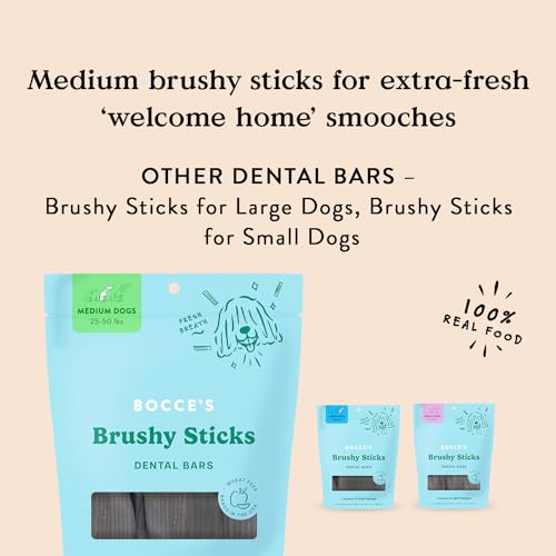 Brushy Sticks Dog Dental Treats (13 Ounce (Pack of 1))