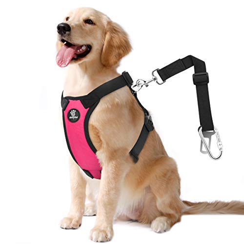 Dog Seat Belt Vest Harness for Car (Magenta / L (Chest: 22-32.3", Neck: 16.9-26"))