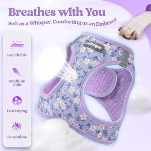 Dog Harness Medium Sized and Leash Set (Lavender Floral / M (chest: 16 - 18.5"))