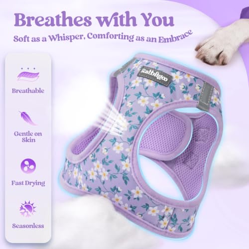 Dog Harness Small Sized and Leash Set (Lavender Floral / S (chest: 15.1 - 16.5"))