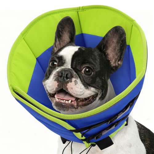Dog Cone Collar (Blue / Small)