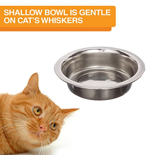 Neater Feeder Deluxe Mess Proof Cat Bowls Elevated (Cat with Standard Bowl / Midnight Black)