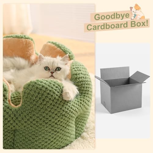 Cute Cat Beds Kitten Beds (Medium / Green)