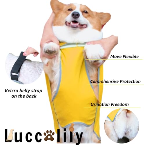 Dog Poncho Hooded Raincoat for Puppies & Small to Large Dogs (Yellow / Large)