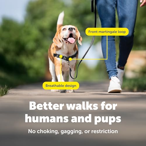 Easy Walk Harness (Small/Medium / Red/Black)