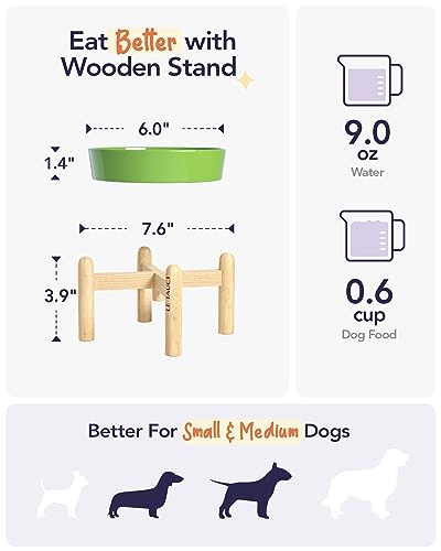 Ceramic Slow Feed Dog Bowls (Clover Green+Stand / S-0.6 Cups)