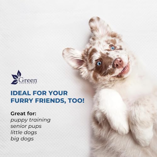 Underpads Training Pet Pee Pads for Dogs (Blue/White / 25 Pack - 30x36)