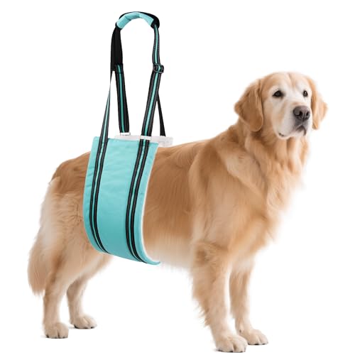 Adjustable Dog Sling Dog Lift Harness Hind Leg Support (Turquoise / L)
