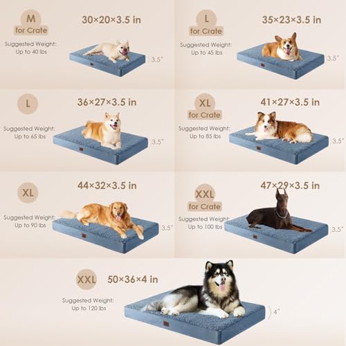 Orthopedic Dog Bed Extra Large with Removable Washable Cover (47*29*3.5 inches / Spa Blue)