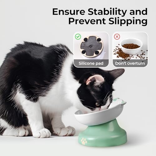 Slow Feeder Cat Bowl (Green)