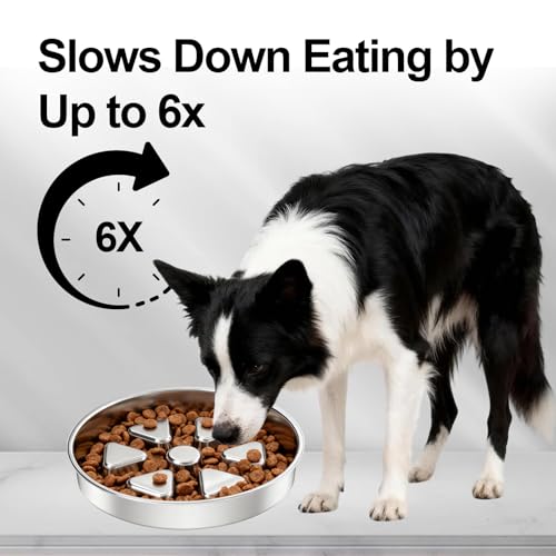 304 Stainless Steel Slow Feeder Dog Bowls (A: Stainless Steel)