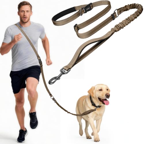 Hands Free Dog Leash by Kazazoo (BROWN Bungee / M)