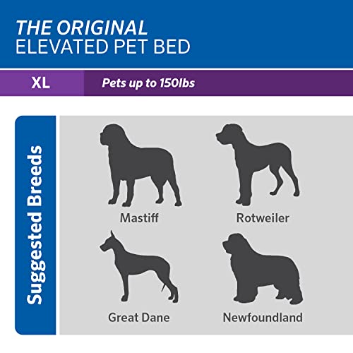 Original Elevated Dog Bed (X-Large Dog Bed / Brunswick Green)