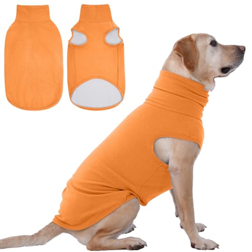XXXL Dog Sweater (XXX-Large / Orange)