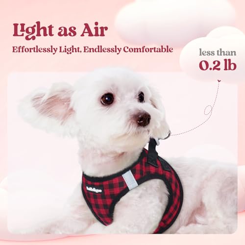 Dog Harness Small Sized and Leash Set (Red Check / Xs (chest: 13.3 - 15.5"))