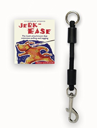 BUNGEE DOG LEASH EXTENSION (Medium (up to 60 pounds) / Black)