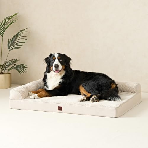 Extra Large Dog Bed Othorpedic (Beige / 44.0"L x 32.0"W x 6.5"Th)