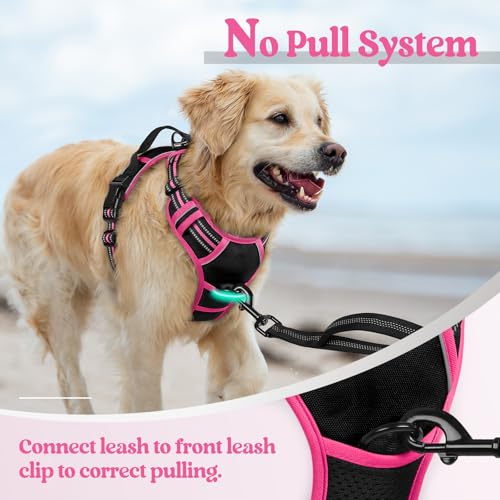 Dog Harness No Pull for Small Dogs with 2 Leash Clips (Small / Black & Hot Pink)
