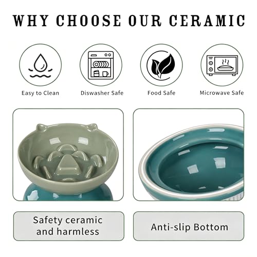 Ceramic Slow Feeder Cat Bowl (Green)