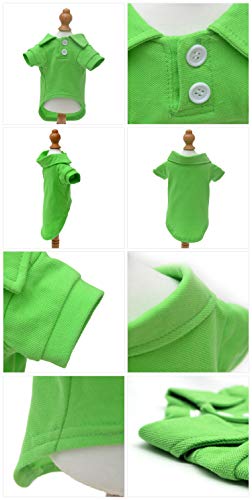 Basic Dog Polo Shirts Premium Cotton (XXXL (-75lbs) / Green)