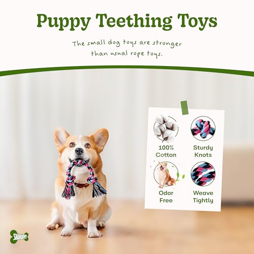 Puppy Rope Toy (1 Pack-Small / Small)