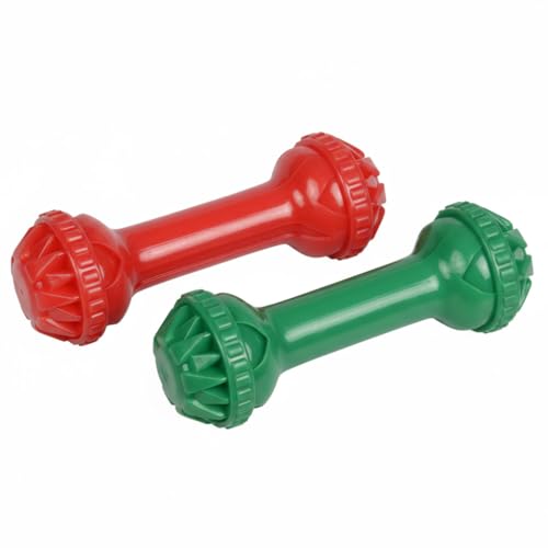 Dog Toys for Aggressive Chewers (Mr. Bone - Double)