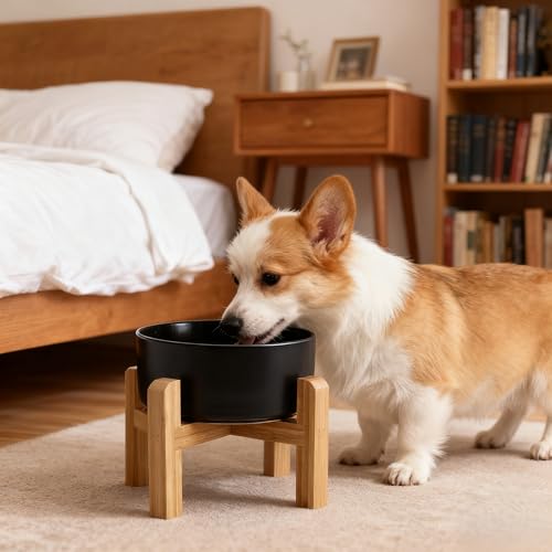 Elevated Raised Ceramic Dog Bowl with Bamboo Stand (Black / Medium)