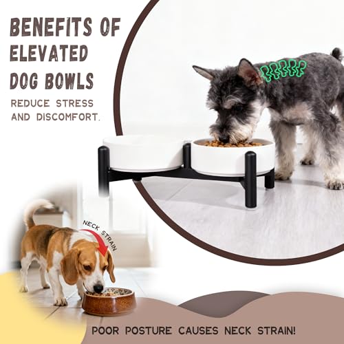 Raised Ceramic Dog Bowl Set with Stand (White / 2 Bowls - 2.1 Cups Each)