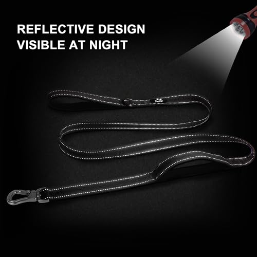5FT 1IN Strong Black Dog Leash with 2 Padded Handles (Black / 1 in x 5 ft)