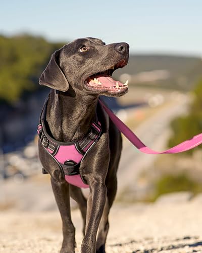 No Pull Dog Harness for Extra Large Dogs (X-Large / Pink)