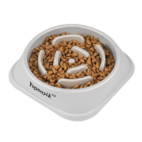 Slow Feeder Dog Bowls for Medium Dogs & Cats (Medium / Grey)