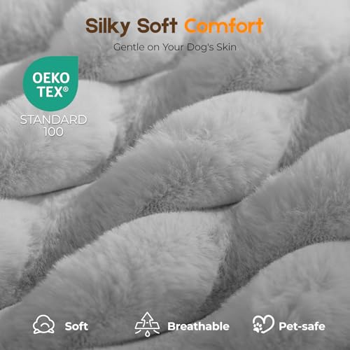 Orthopedic Dog Bed for XL Dog (Grey / 41"x27"x4")