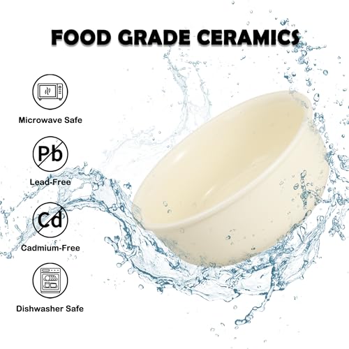 Elevated Ceramic Dog Bowl Set (Beige / L × 2)