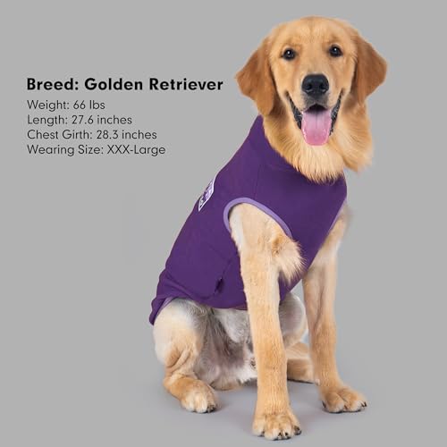 Fleece Dog Sweater (XXX-Large / Purple)