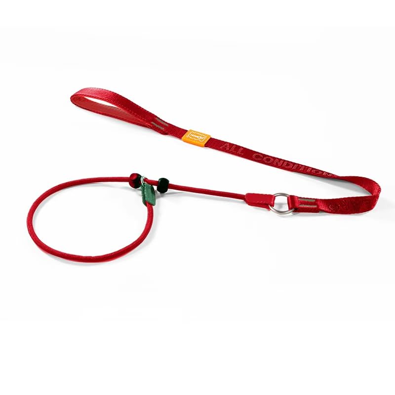 Slip Lead Dog Leash with 2 Spring (Red / 3.6FT)