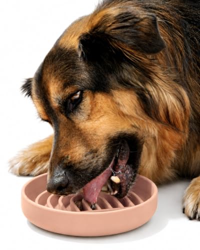 Slow Feeder Dog Bowl (Blush - Rainbow Design / Medium (7.5” Across x 1.5” Tall))