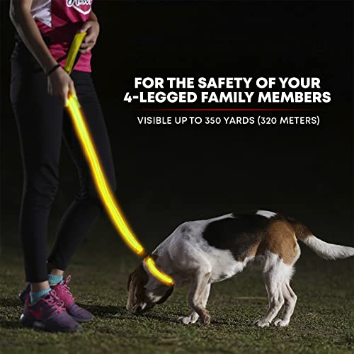 LED Light Up Dog Leash (4 Feet / Sunburst Yellow)
