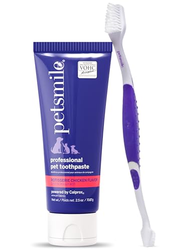 Teeth Brushing Kit (2.5 Ounce (Pack of 1))