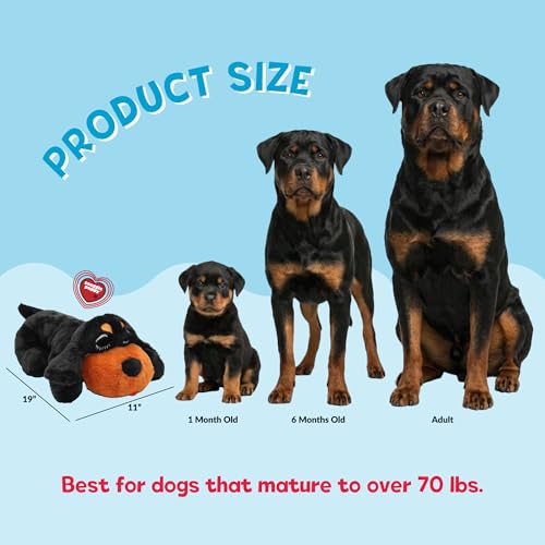 Snuggle Puppy Heartbeat Toy (Large Breed Rottie / 1 Count (Pack of 1))