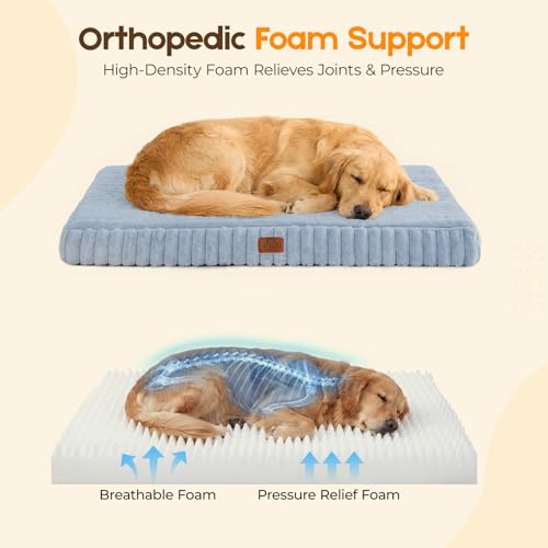 Orthopedic Dog Bed for XL Dog (Blue / 41"x27"x4")