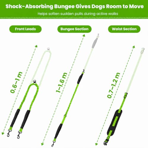 Hands Free Double Dog Leash (Green)