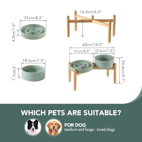 Elevated Slow Feeder Dog Bowls (Light Green)