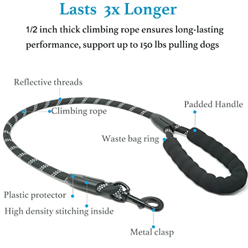 Double Dog Leash (Black / Large)